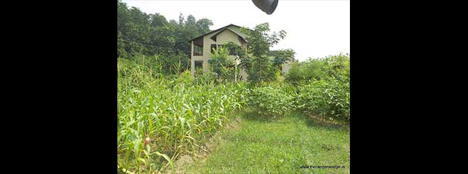 The Ranger's lodge