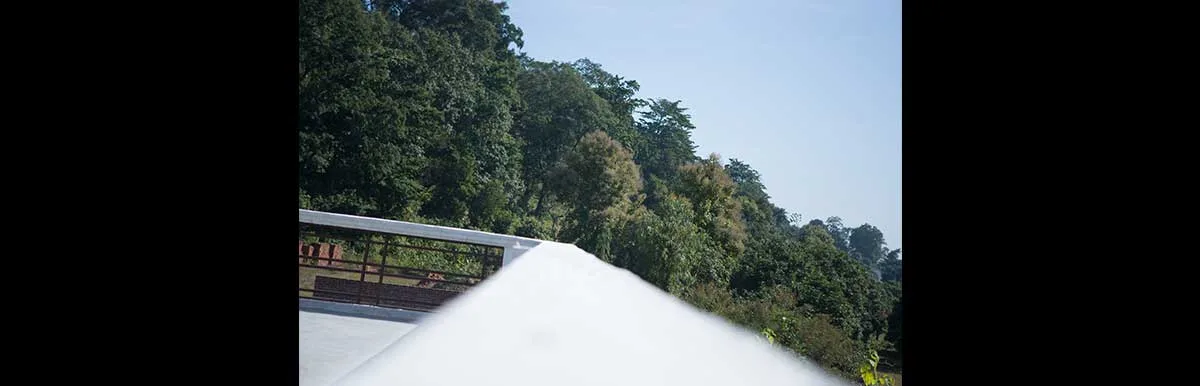 Exclusive 4x4 Jeep Safaris in Corbett