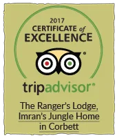TripAdvisor 2017 Certificate of Excellence