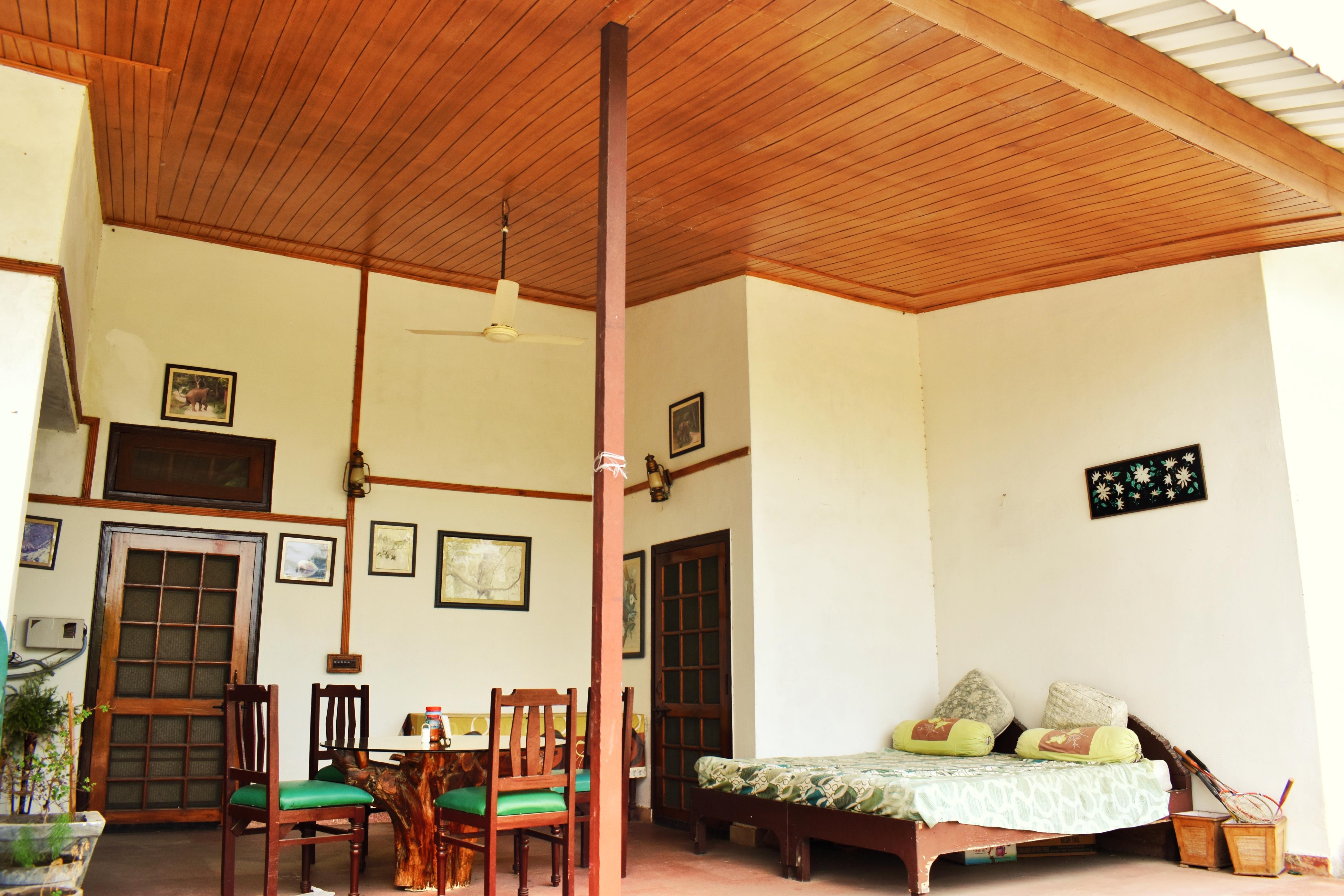 Family Jungle Suite