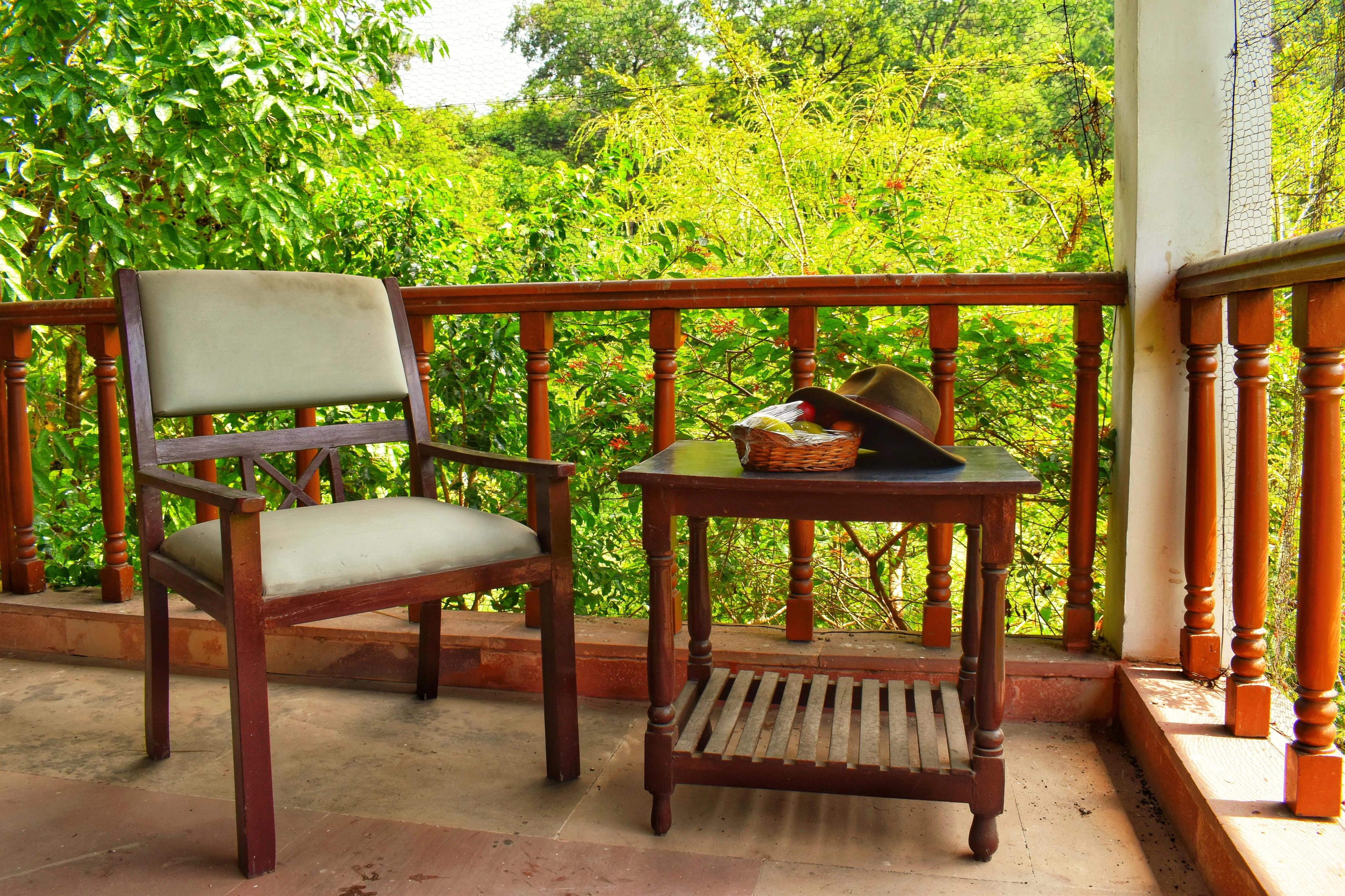 Naturalist's Reading Perch - Field Manuals, Optics & Canopy Views