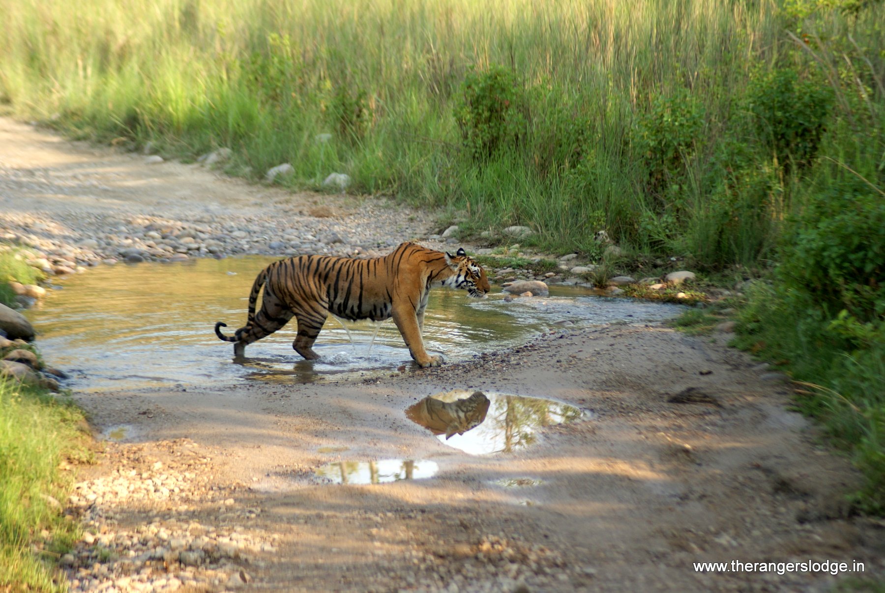 Man vs Wild - Bear Grylls and PM Modi in Corbett